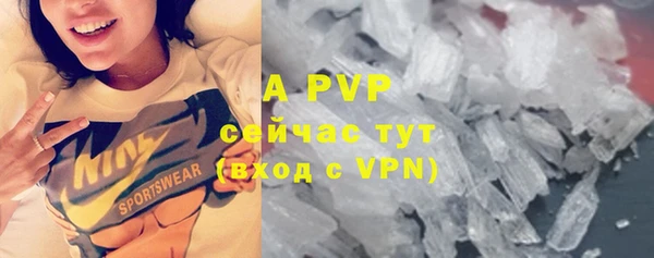 спиды Аркадак