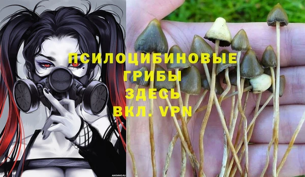 индика Армянск