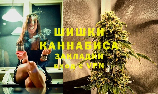 индика Армянск