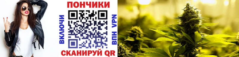 Канабис AK-47  Изобильный 